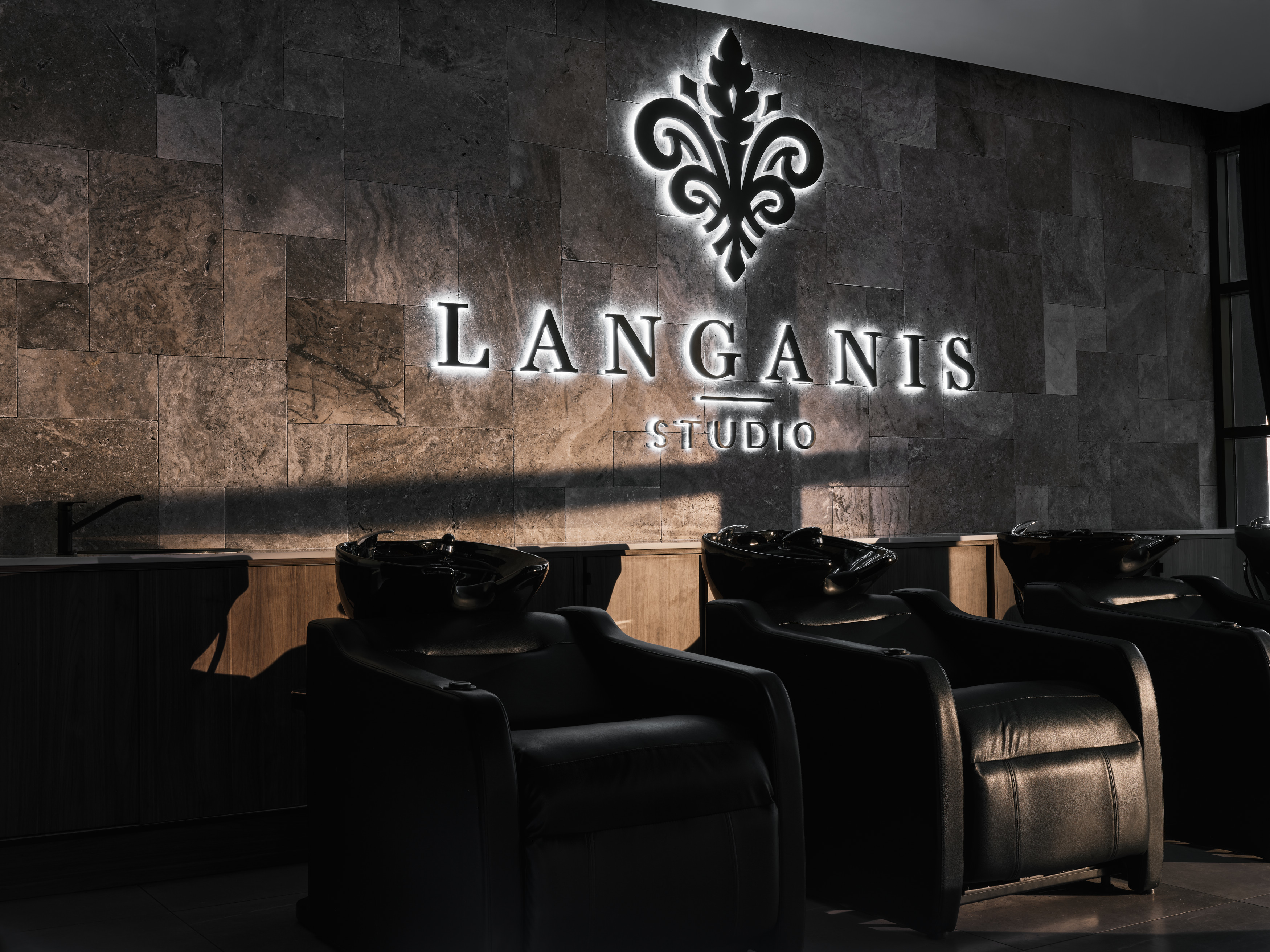 Langanis Studio  Website